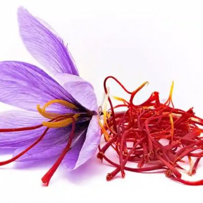 zarkaamland زرکاملند