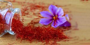 zarkaamland زرکاملند