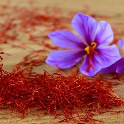 zarkaamland زرکاملند